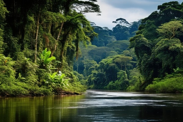 photo d'une rivière dans la jungle en Guyane