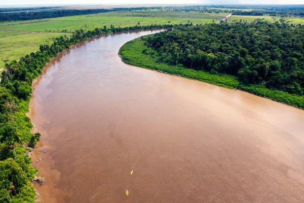 rivière au milieu de la jungle en Guyane