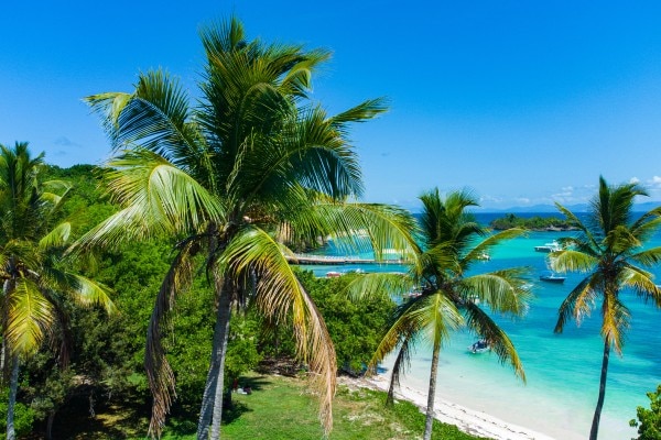 palmiers et plage de la péninsule de Samana en République Dominicaine
