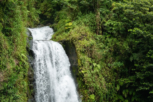 Cascade de Trafalgar en Dominique 