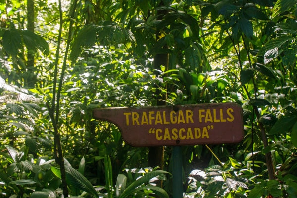 Itinéraire de rando pour la cascade de Trafalgar