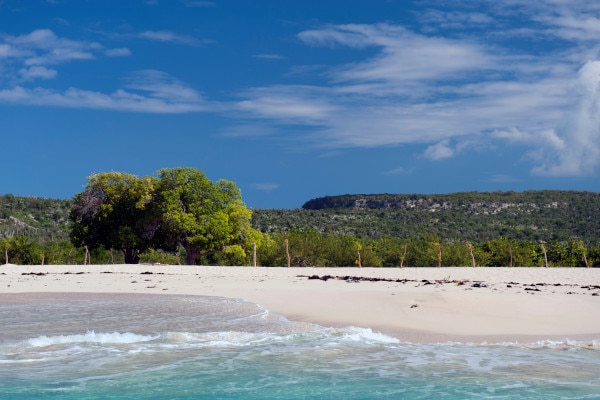 plage de l'île de la tortue