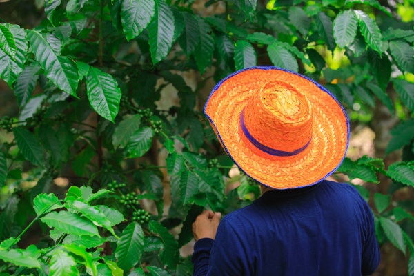Jardin Botanique des cayes d'Haïti