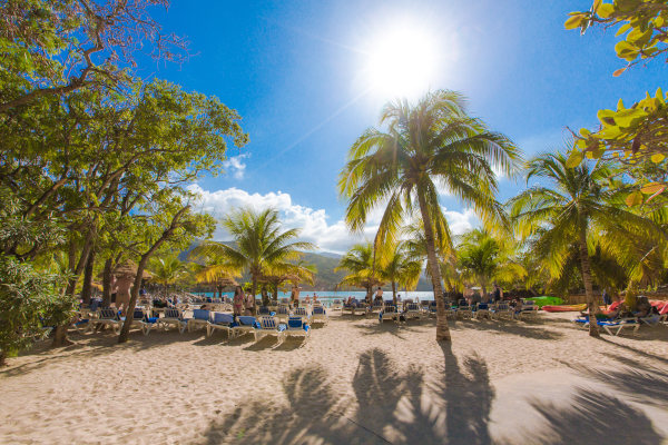 Plage de sable et cocotier Labadie en Haïti
