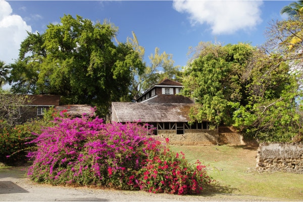 Habitat Clément Martinique