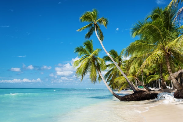 vue de la plage de l'île de saona