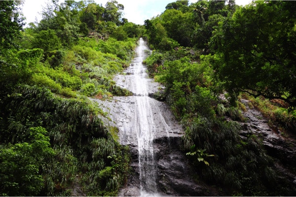 Chute d'eau dans la forêt en Martinique
