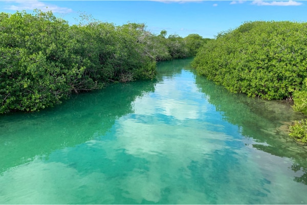 reserve sian ka'an a cancun