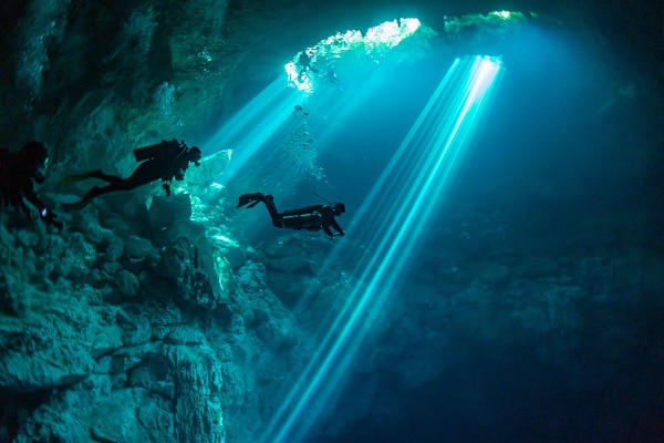 Plongée sous marine et récifs coralliens à la Dominique