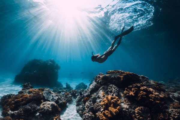 Plongée sous marine et récifs coralliens à Haïti