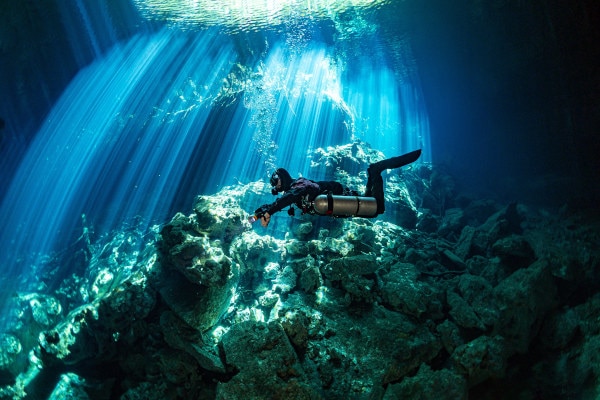 Plongée sous marine et récifs coralliens en République Dominicaine