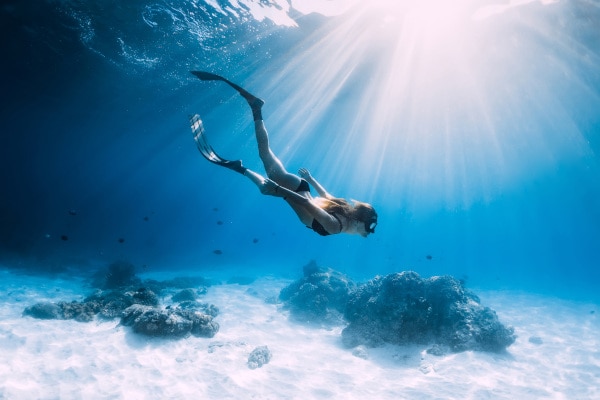 Plongée sous marine en République Dominicaine