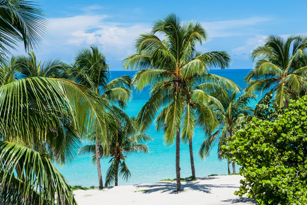 Plage de sable blanc à Varadero