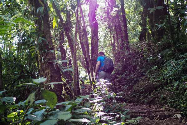 Activités incontournables dans la forêt amazonienne en Guyane