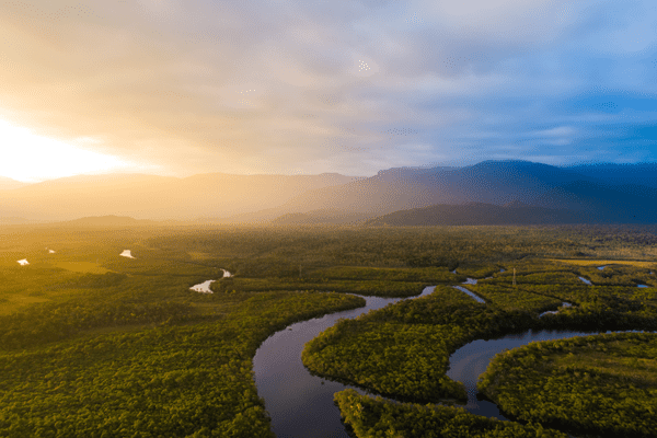 Découverte de la forêt amazonienne guyanaise