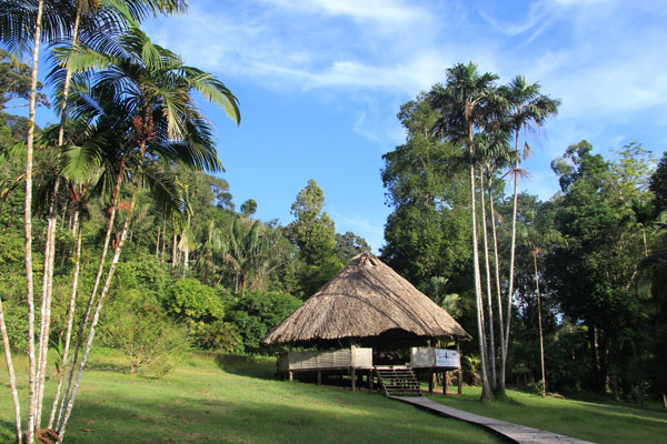 Dormir dans la forêt amazonienne en Guyane