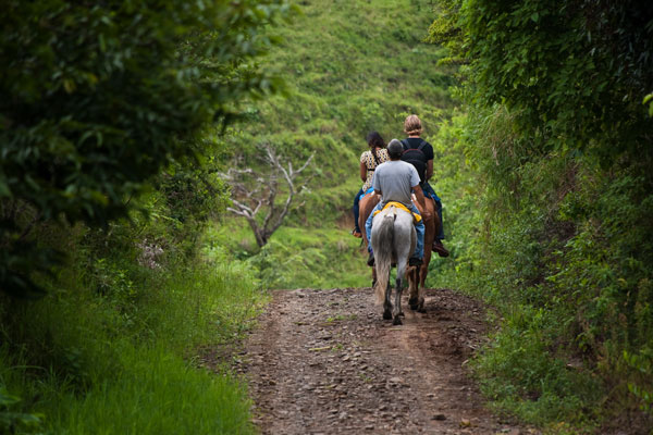 Faire du cheval en Guyane