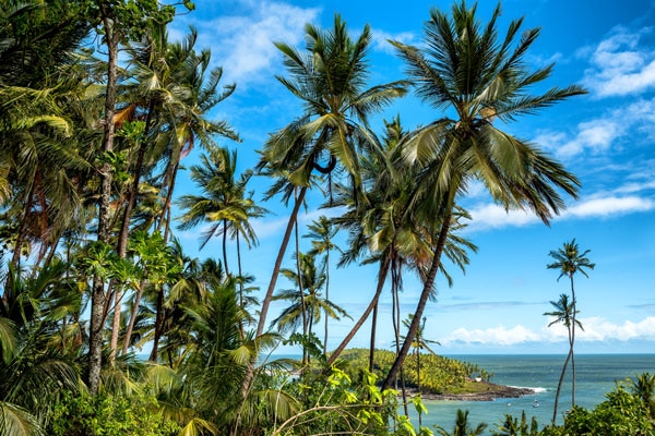 Îles du Salut en Guyane