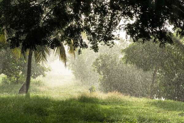 Saison des pluies en Guadeloupe