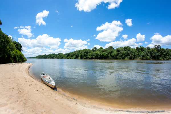 Naviguer en pirogue au cœur de la forêt amazonienne