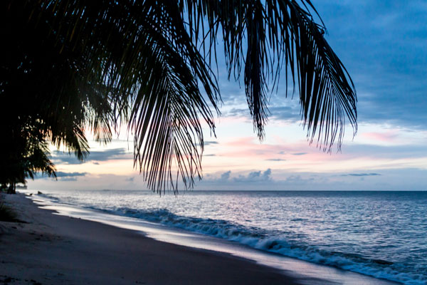 Visiter Kourou