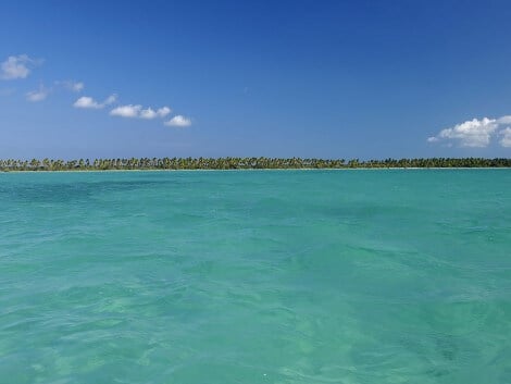 afaire-ile-a-vache