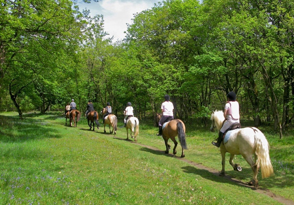 Equitation Guadeloupe