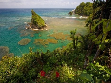 view_in_dominica