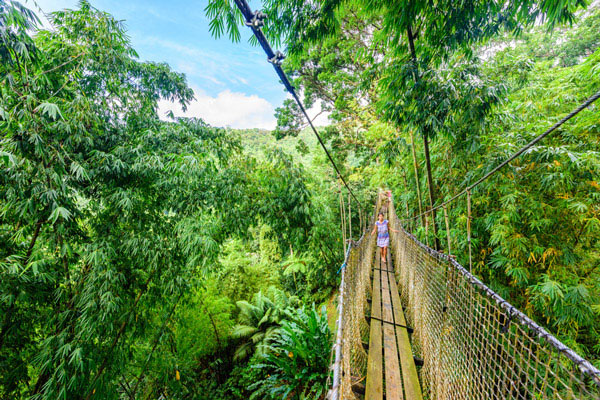 Parc naturel Martinique