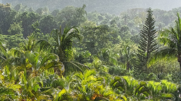Pluie en Guadeloupe