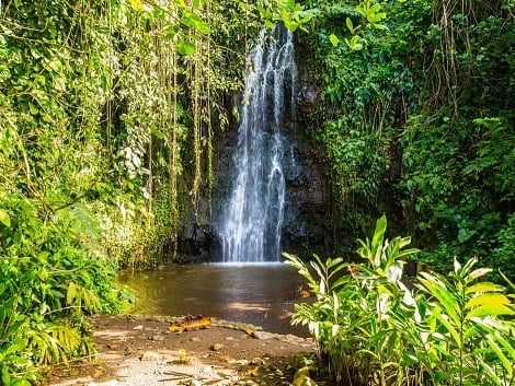 chute tahiti
