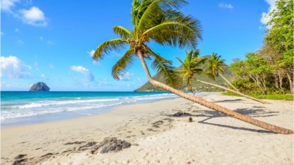 32 - Partir entre amis en Martinique _ conseils pratiques.jpeg