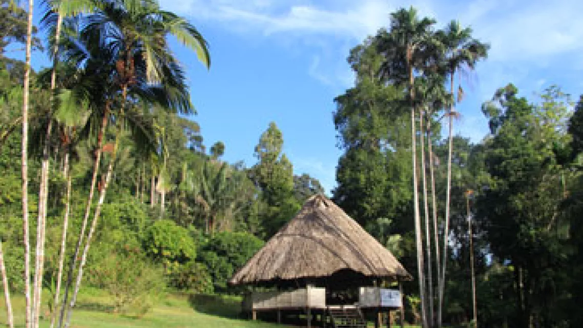 Ou-dormir-dans-la-foret-amazonienne-en-Guyane--cb30a84.jpg