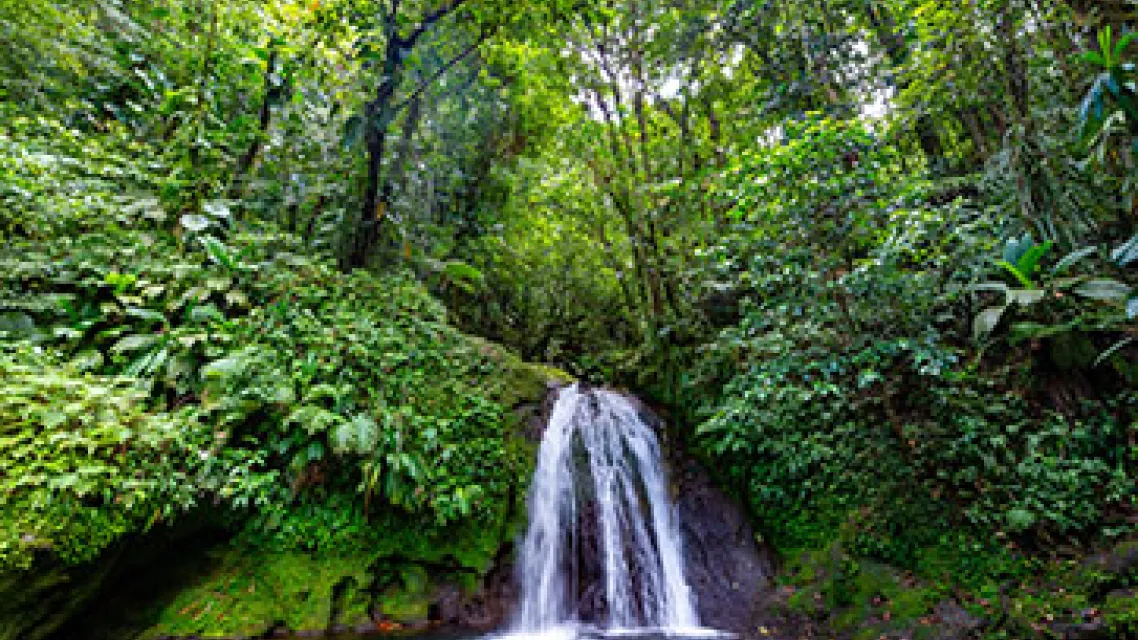 Visiter-le-parc-national-a-la-Guadeloupe_2-vignette.jpg