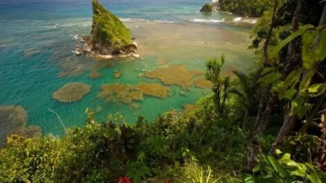 fabulous_reef_view_in_dominica_auteurbrad_0-min (1).jpg