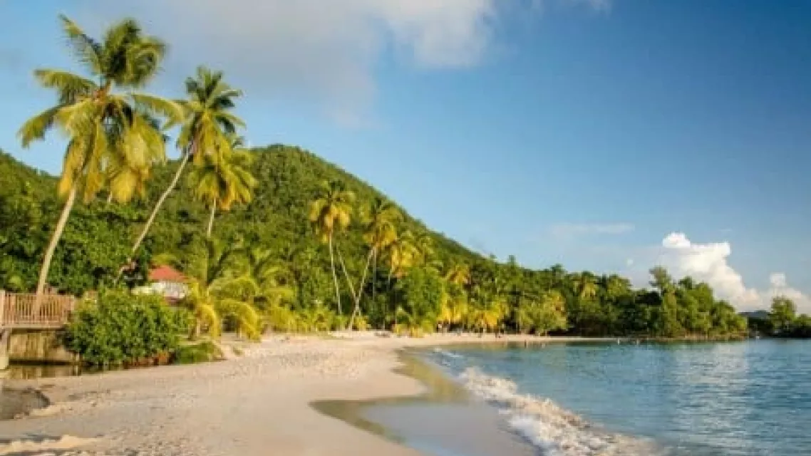 plage-anse-figuier-martinique_0.jpg