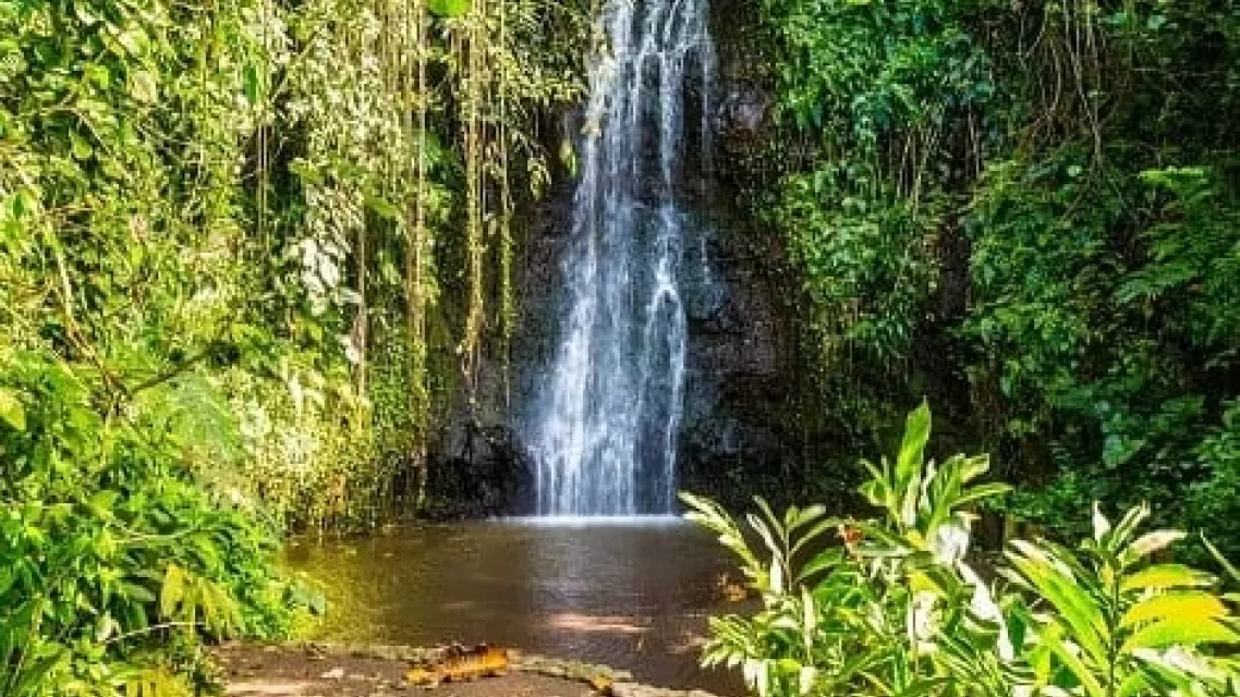 tahiti8_0-min.jpg