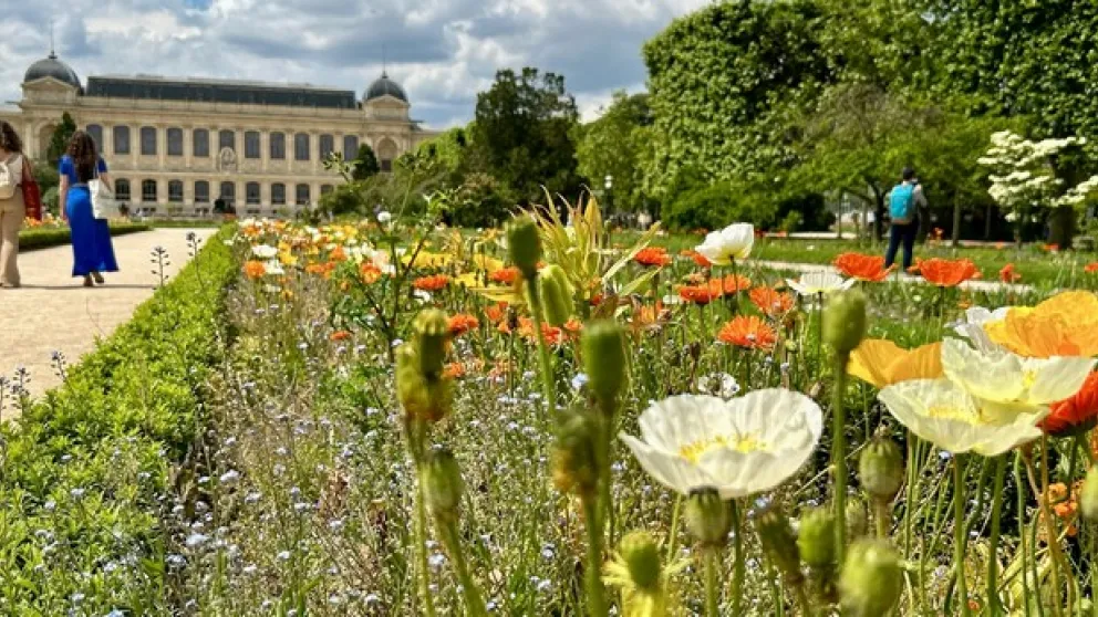 Les meilleurs parcs à Paris : balades, détente et nature en ville
