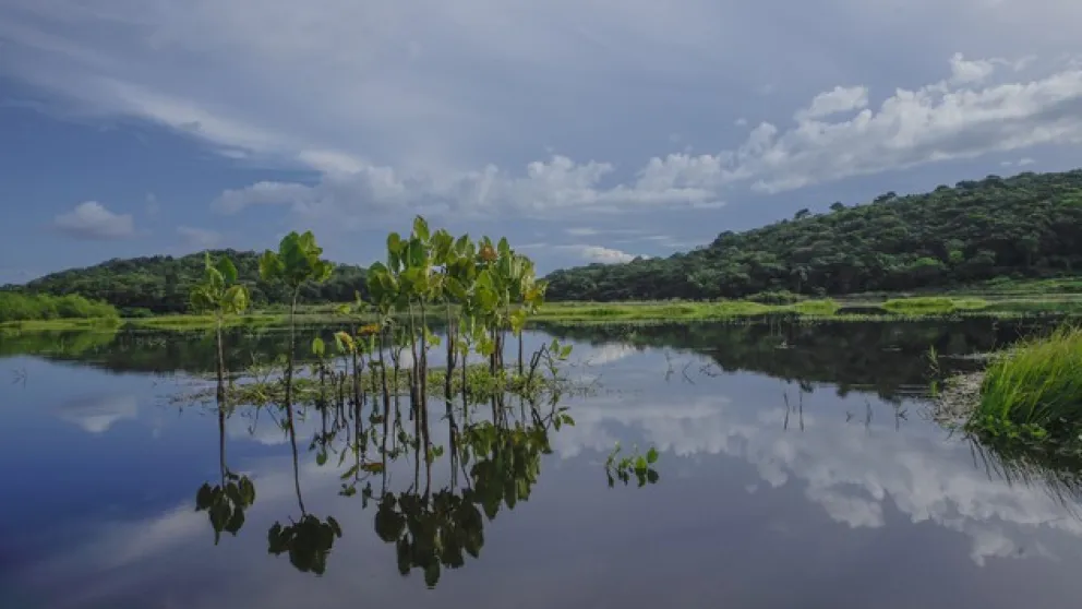 Quelles activités faire en Guyane ?