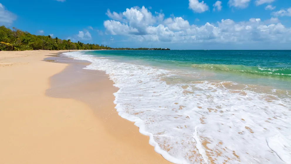 Top des spots de Windsurf en Martinique