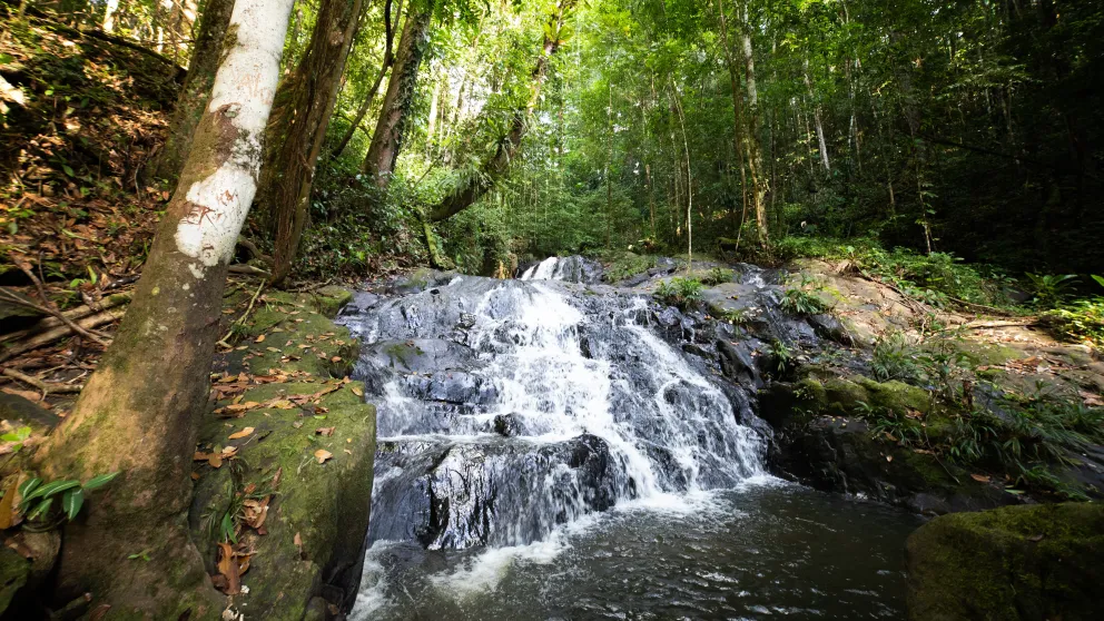 Maripasoula, un lieu unique en Guyane