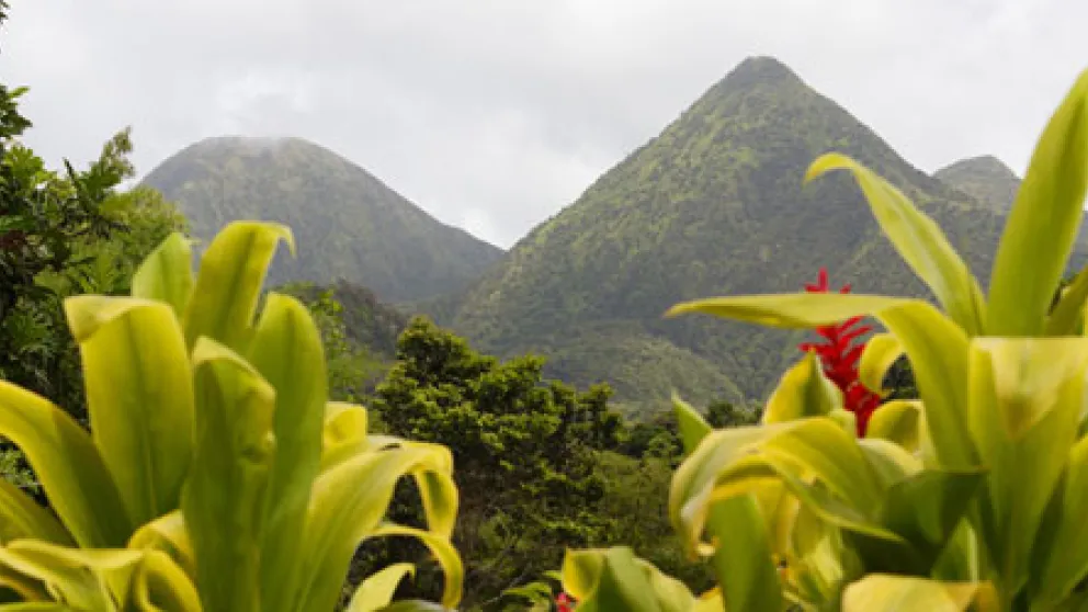 Le Morne Jacob, une randonnée en Martinique inoubliable