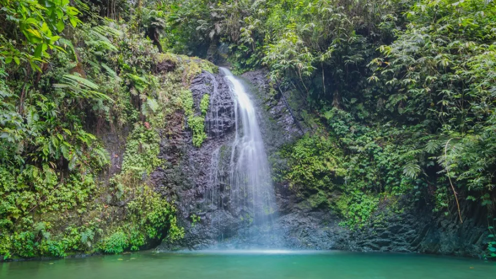 Les plus belles cascades de Martinique Les plus belles cascades de Martinique