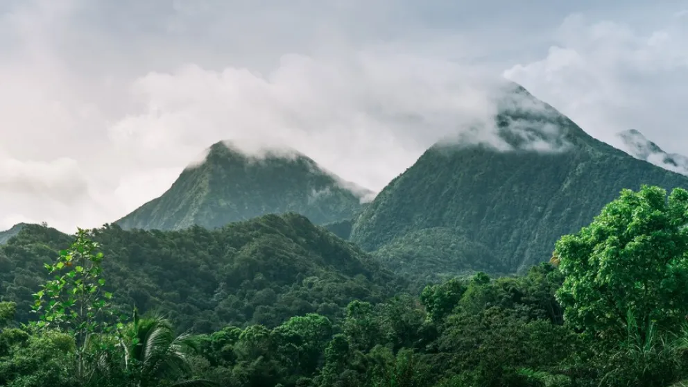 Partez en randonnée sur les Pitons du Carbet Partez en randonnée sur les Pitons du Carbet