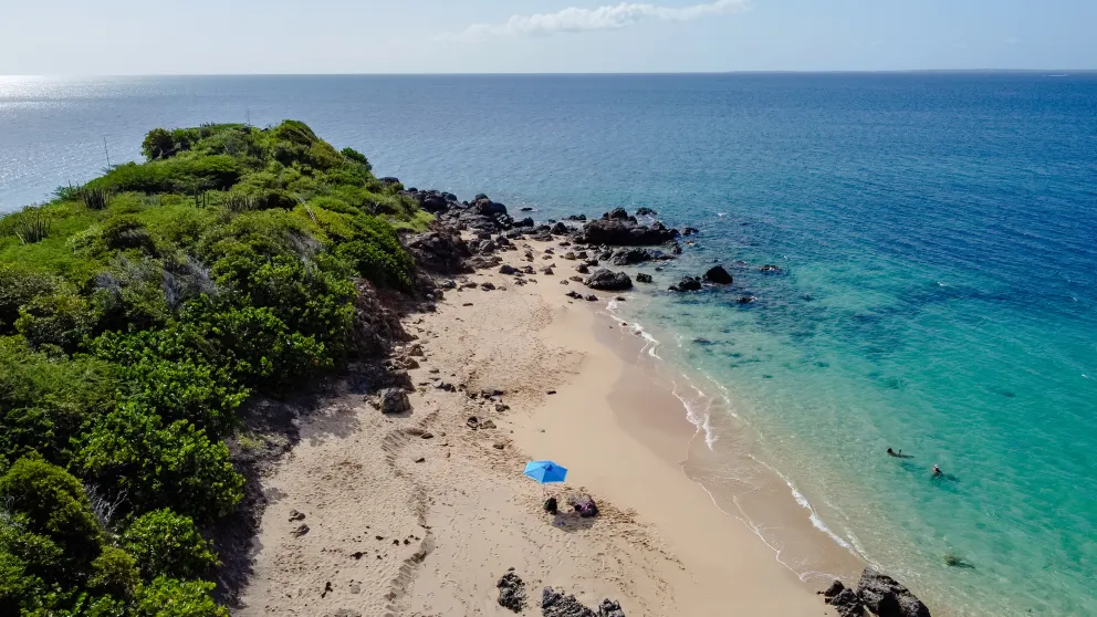 Les plus belles plages de Saint Martin : top spots à explorer Les plus belles plages de Saint Martin : top spots à explorer