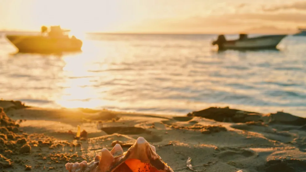 Les meilleures options de location de bateaux en Guadeloupe