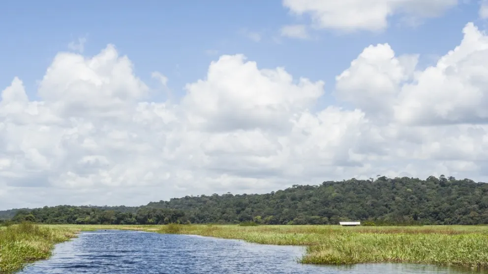 Visiter les marais de Kaw