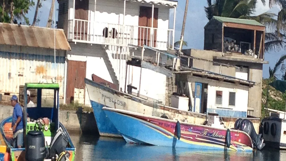 L'île de la Désirade : guide des activités entre plages sauvages et authenticité créoles