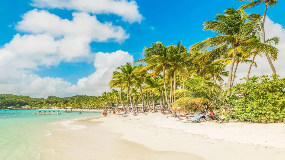 Climat de la Guadeloupe : tout savoir avant de réserver votre vol