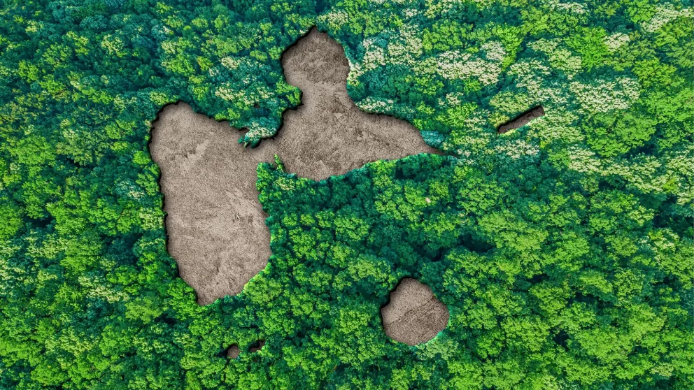 Guadeloupe : sites à visiter et expériences à vivre